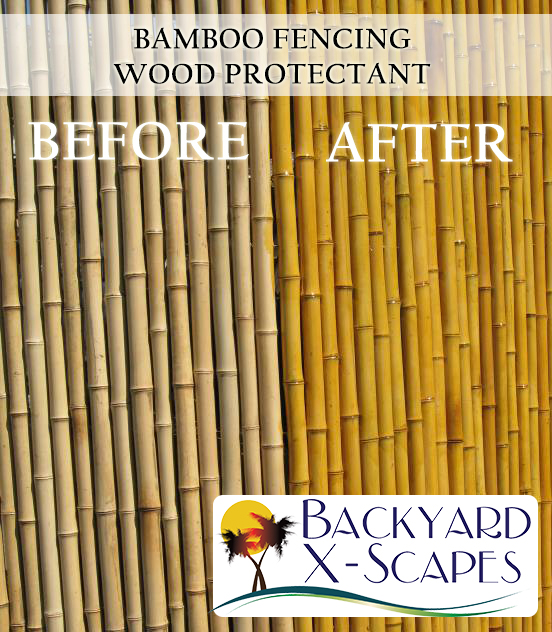 Painting Bamboo Fence at Explore collection of