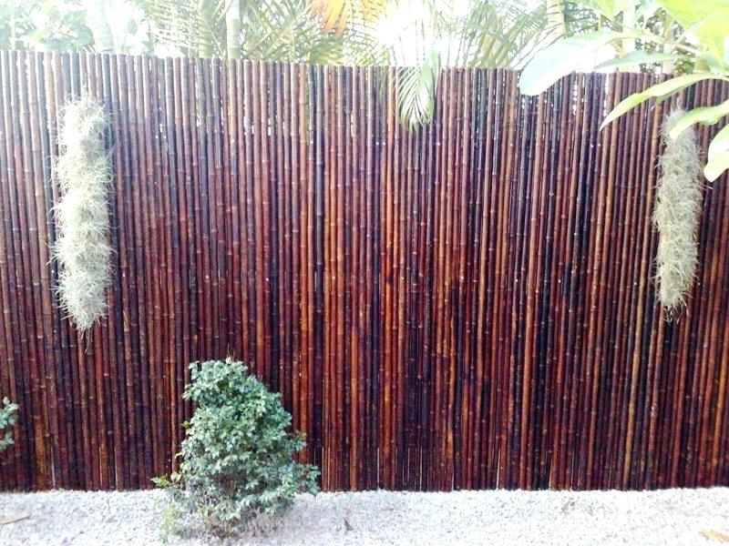 Painting Bamboo Fence at Explore collection of