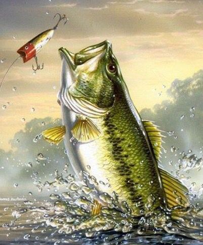 401x483 Largemouth Bass Fishing Painting Fish Paintings - Painting Bass