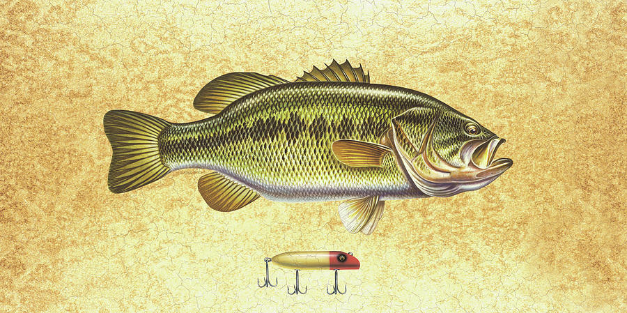 900x449 Antique Lure And Bass Painting By Jq Licensing - Painting Bass