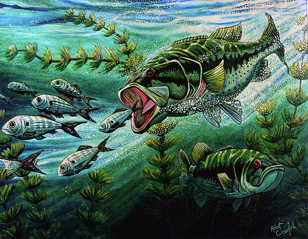 600x466 Bass Chasing Shads Painting By Bob Crawford - Painting Bass