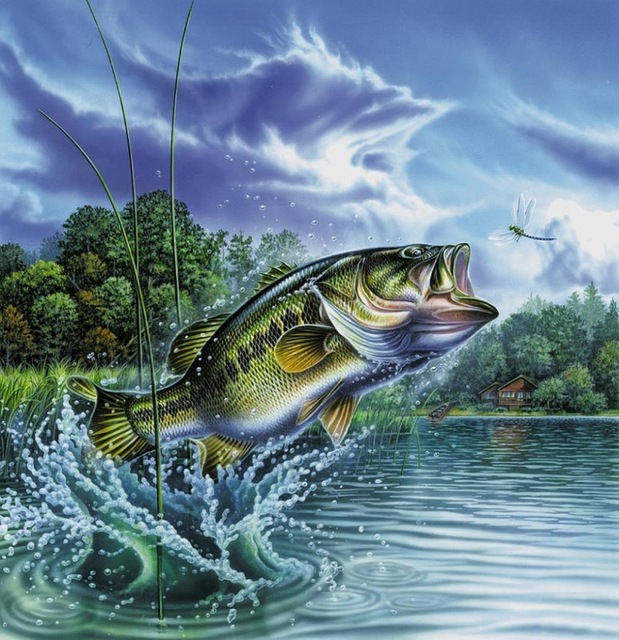 619x640 Bass Fishing Lake Sunset Painting Silk Cloth Poster 24 X 24 13 - Painting Bass