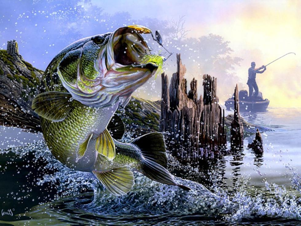 980x735 Bass Fishing Lake Sunset Painting Silk Cloth Poster 32 X 24 17 - Painting Bass