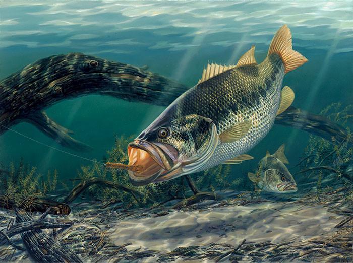 700x522 Bass Fishing Wall Decor, Large Wall Art Print, - Painting Bass