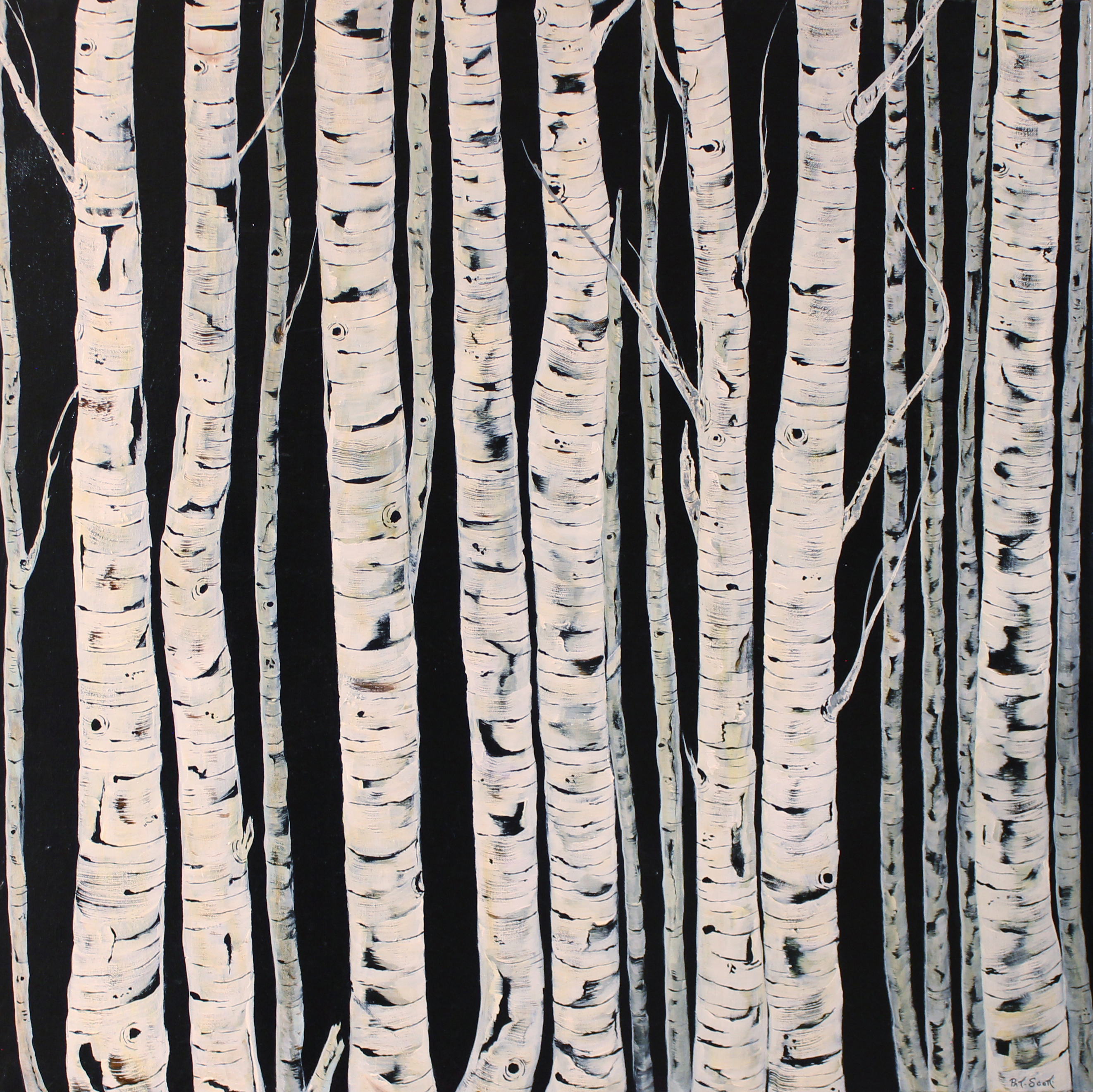 2644x2640 Birch Trees - Painting Birch