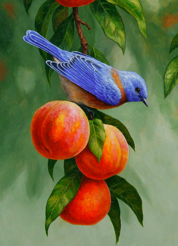 Love Birds Painting At PaintingValley.com | Explore Collection Of Love ...