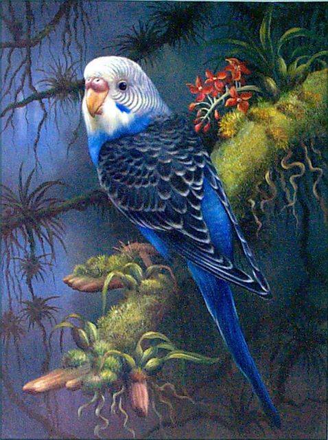 478x640 Bird Painting 3,birds Oil Paintings,sinoorigin - Painting Birds Images