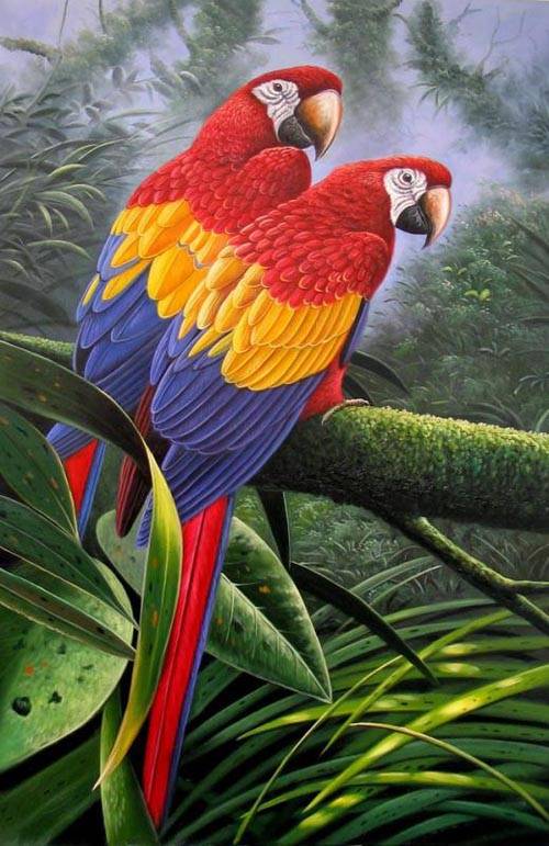 500x771 Bird Painting 4,birds Oil Paintings,sinoorigin - Painting Birds Images
