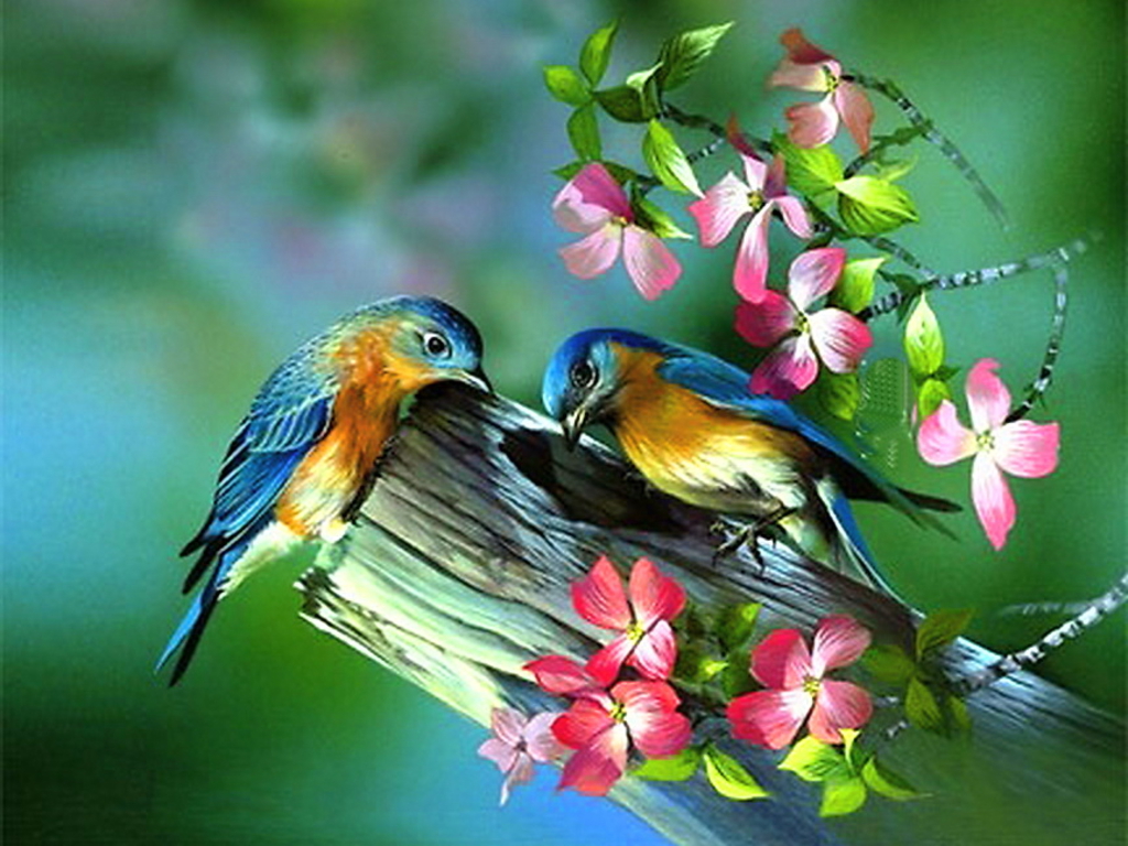 1024x768 Painting Of Birds In Spring Pictures, Photos, And Images - Painting Birds Images