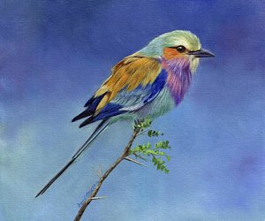 300x250 Bird Paintings Fine Art America - Painting Birds Images
