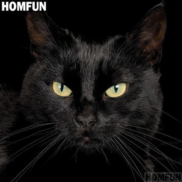 640x640 Homfun Full Squareround Drill 5d Diy Diamond Painting Black Cat - Painting Black Cat
