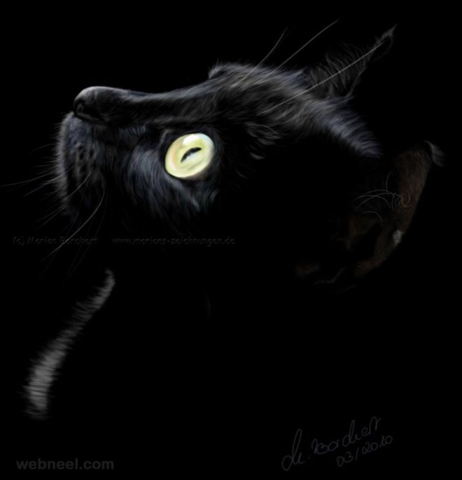 660x685 Black Cat Painting 24 - Painting Black Cat
