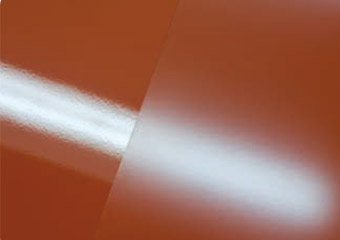 340x240 Bernardo Ecenarro Besa - Painting Blooming