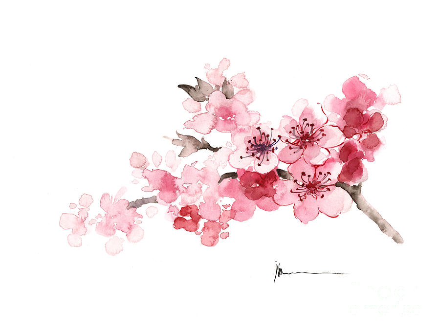900x679 Cherry Blossom Branch Watercolor Art Print Painting Painting By - Painting Branch