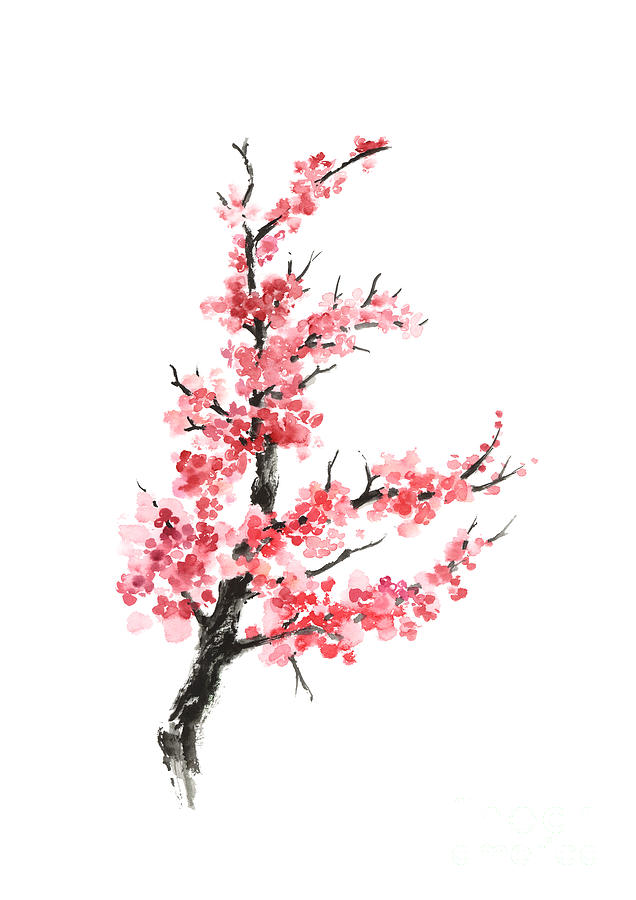 636x900 Cherry Blossom Branch Watercolor Poster Painting By Joanna Szmerdt - Painting Branch
