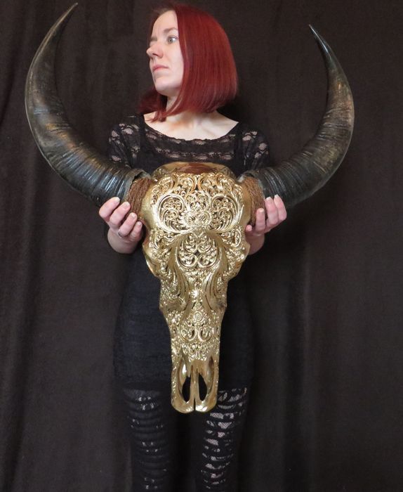 574x700 Skeleton - Painting Buffalo Skull