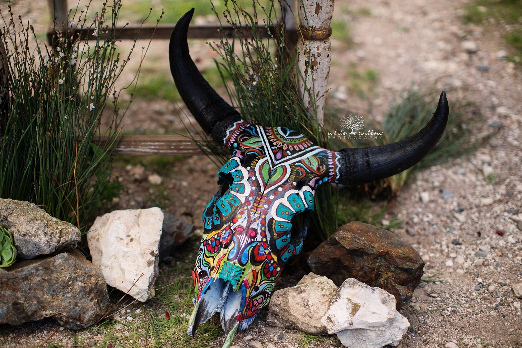 2048x1365 The Painted Steer Skull Ll Designs - Painting Bull Skulls