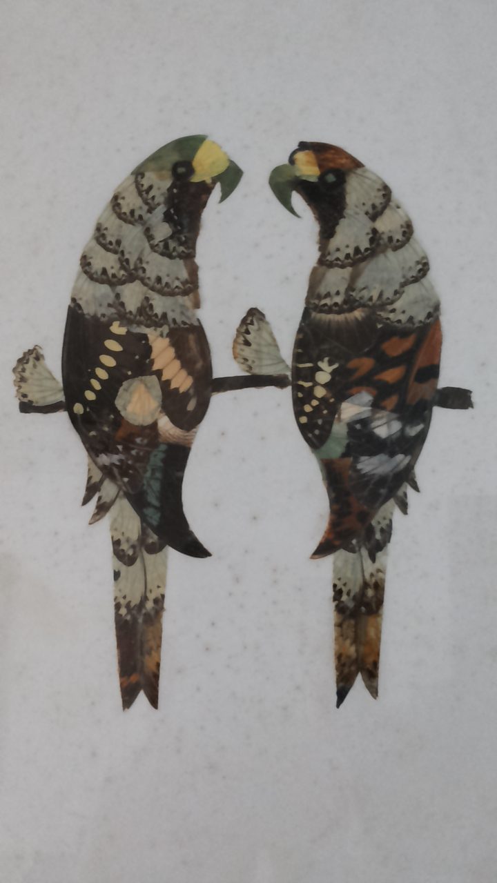 720x1280 Butterfly Wing Art - Painting Butterfly Wings