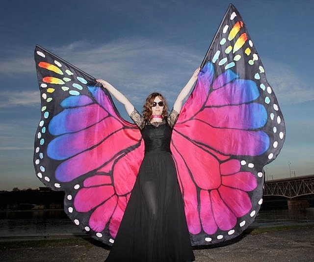 640x534 Hand Painted Silk Butterfly Wings - Painting Butterfly Wings