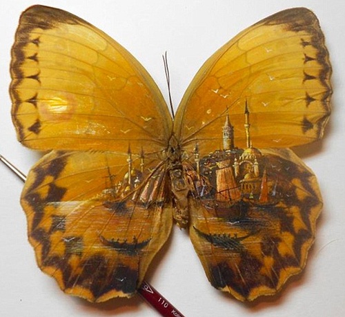 500x459 Istanbul Micro Painting On Butterfly Wings By Turkish Artist Hasan - Painting Butterfly Wings