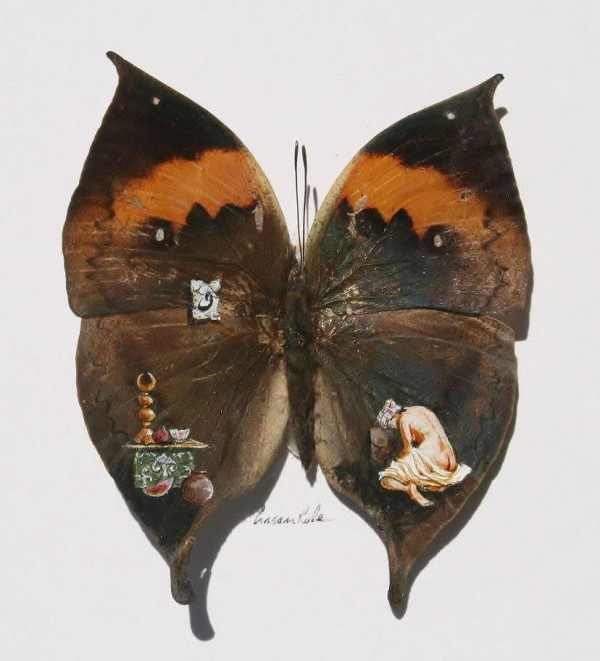 600x661 Painting On Butterfly Wings - Painting Butterfly Wings