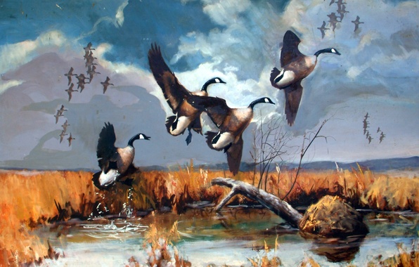 596x380 Wallpaper Wallpaper, Flying, Lake, Painting, Canadian, A Flock - Painting Canada