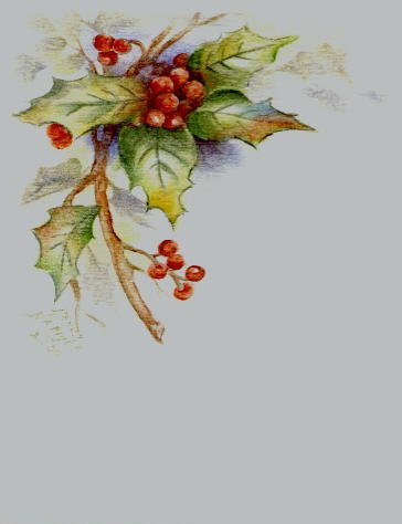 364x474 Penny Nangle Christmas Cards - Painting Cards