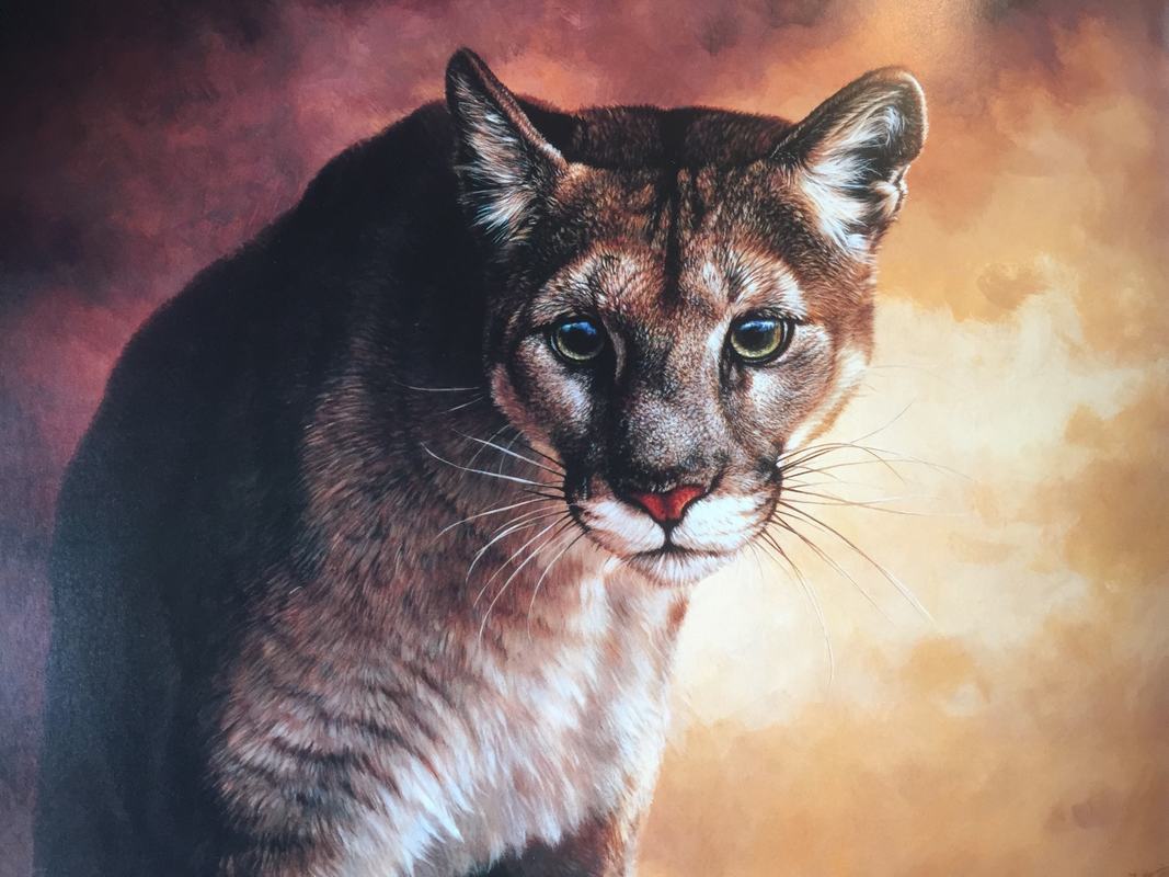1067x800 Original Big Cat Paintings For Sale - Painting Cats Fur