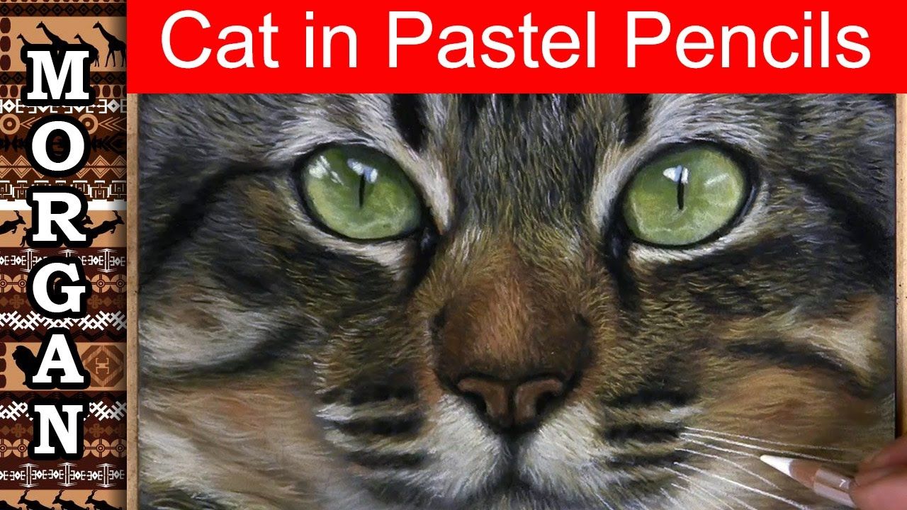1280x720 Pastel Painting Cat - Painting Cats Fur