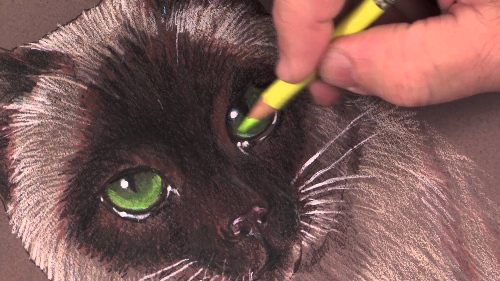 Painting Cats Fur at Explore collection of