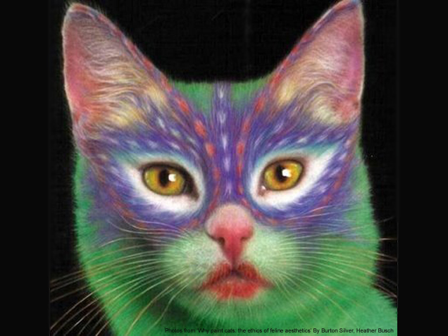 636x477 Would You Paint Your Cat Eclectic Living Home - Painting Cats Fur
