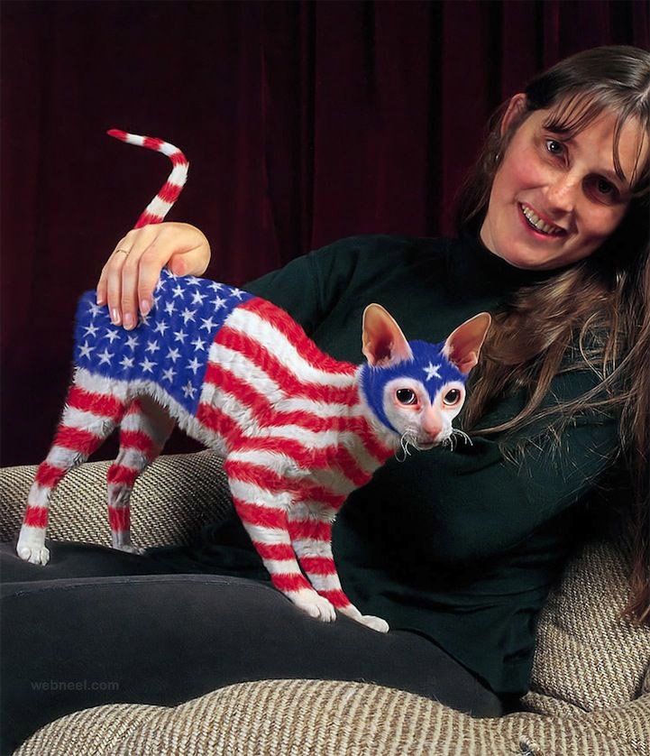 721x838 Painting On Cats Fur - Painting Cats Fur