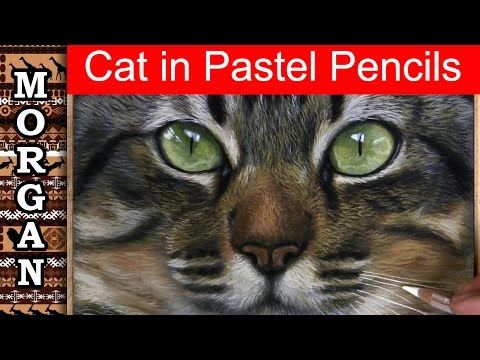 480x360 4) Pastel Painting Cat - Painting Cats Fur