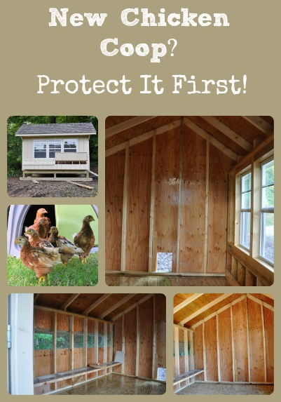 401x573 New Chicken Coop Paint Protection - Painting Chicken Coops