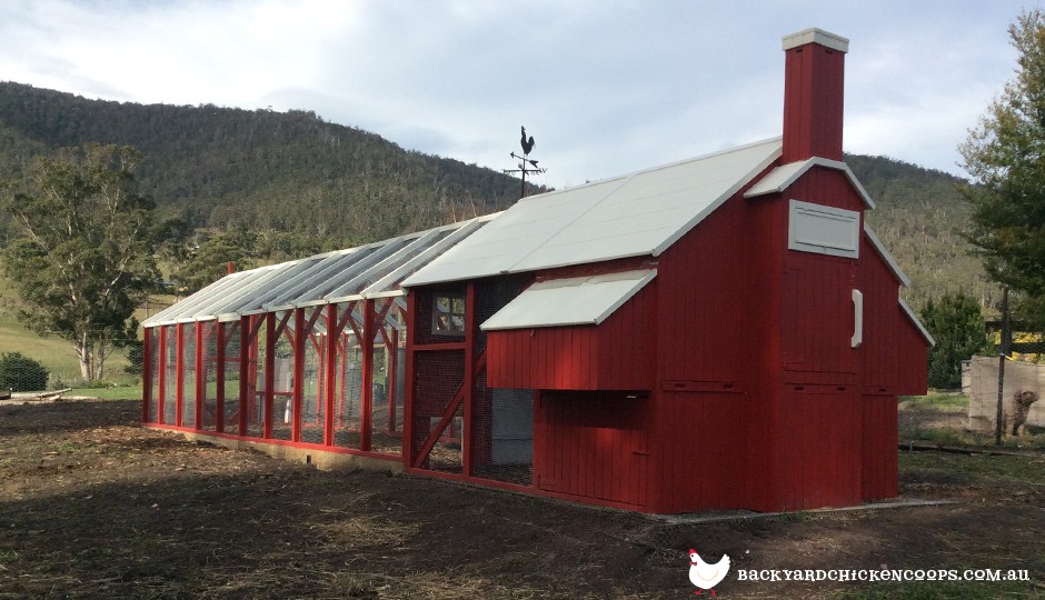 Painting Chicken Coops At Paintingvalleycom Explore Collection Of