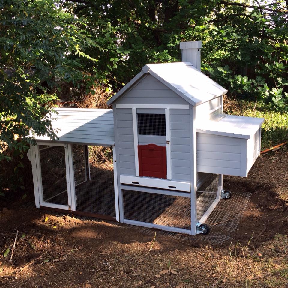 Painting Chicken Coops at Explore collection of