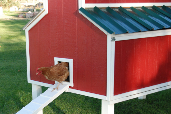 600x399 Free Plans For An Awesome Chicken Coop - Painting Chicken Coops