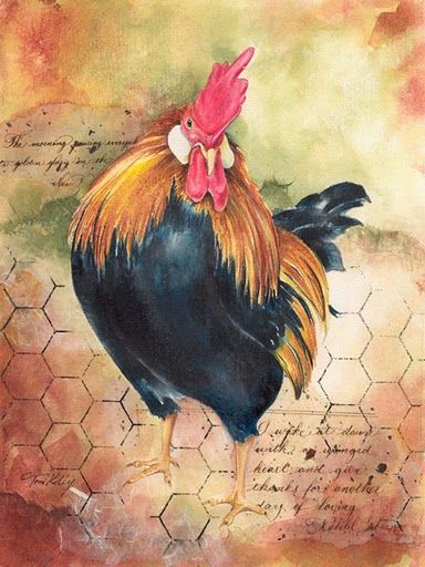 384x512 Love This Rooster Chicken Wire, Hens - Painting Chicken Wire