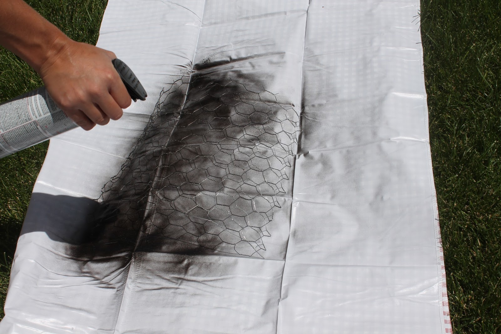 1600x1066 Chicken Wire Painting - Painting Chicken Wire