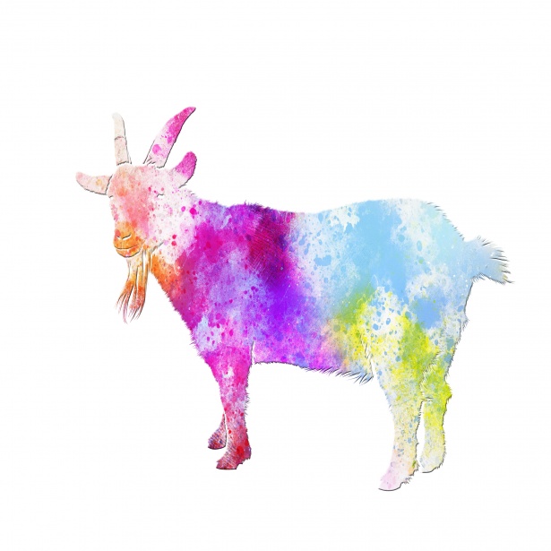 615x615 Goat Watercolor Painting Clipart Free Stock Photo - Painting Clipart