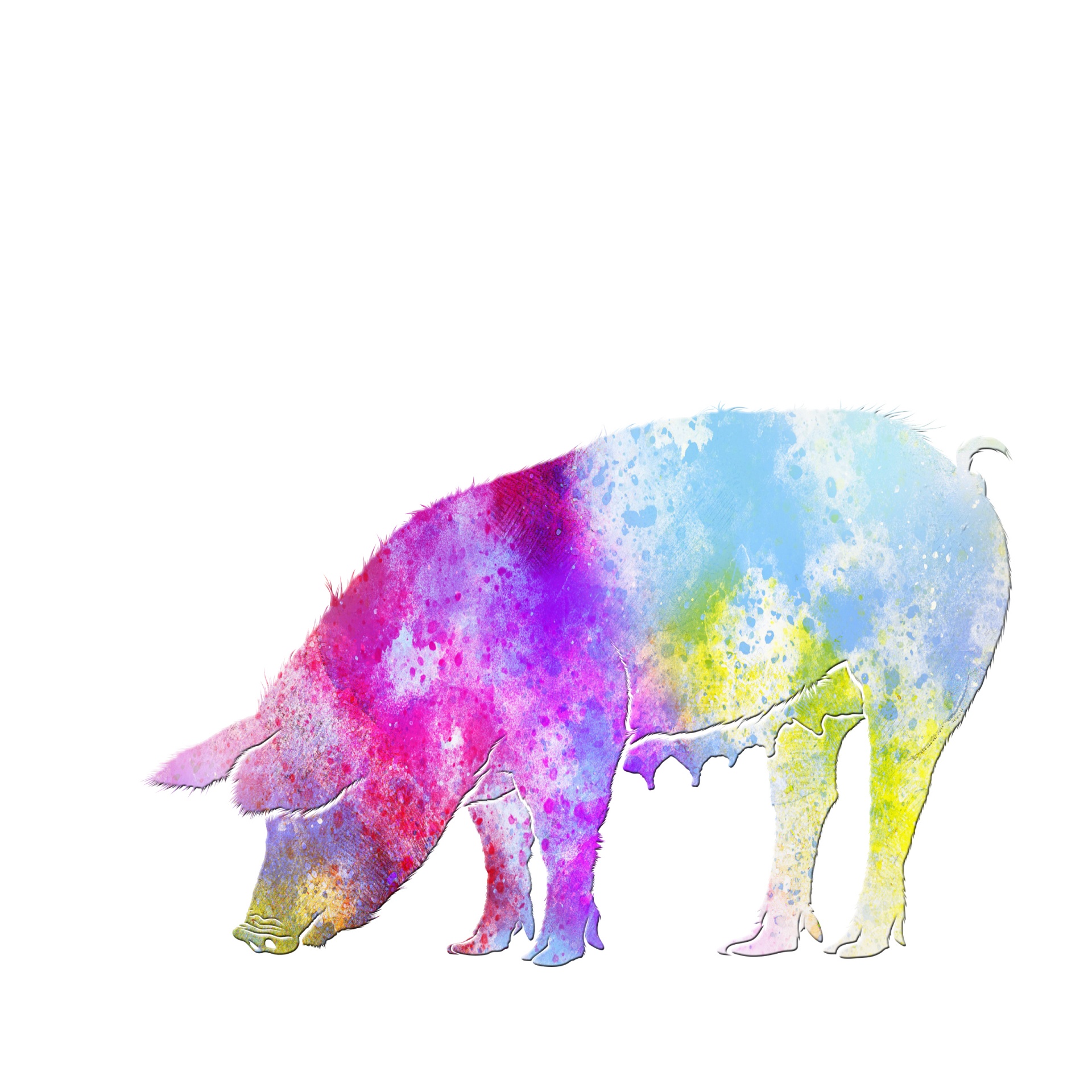 1920x1920 Pig Watercolor Painting Clipart Free Stock Photo - Painting Clipart Free