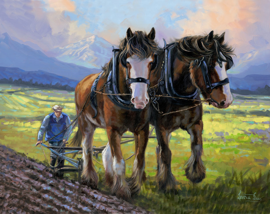 945x751 Clydesdale Horses Livia Dias Fine Art Studio - Painting Clydesdale