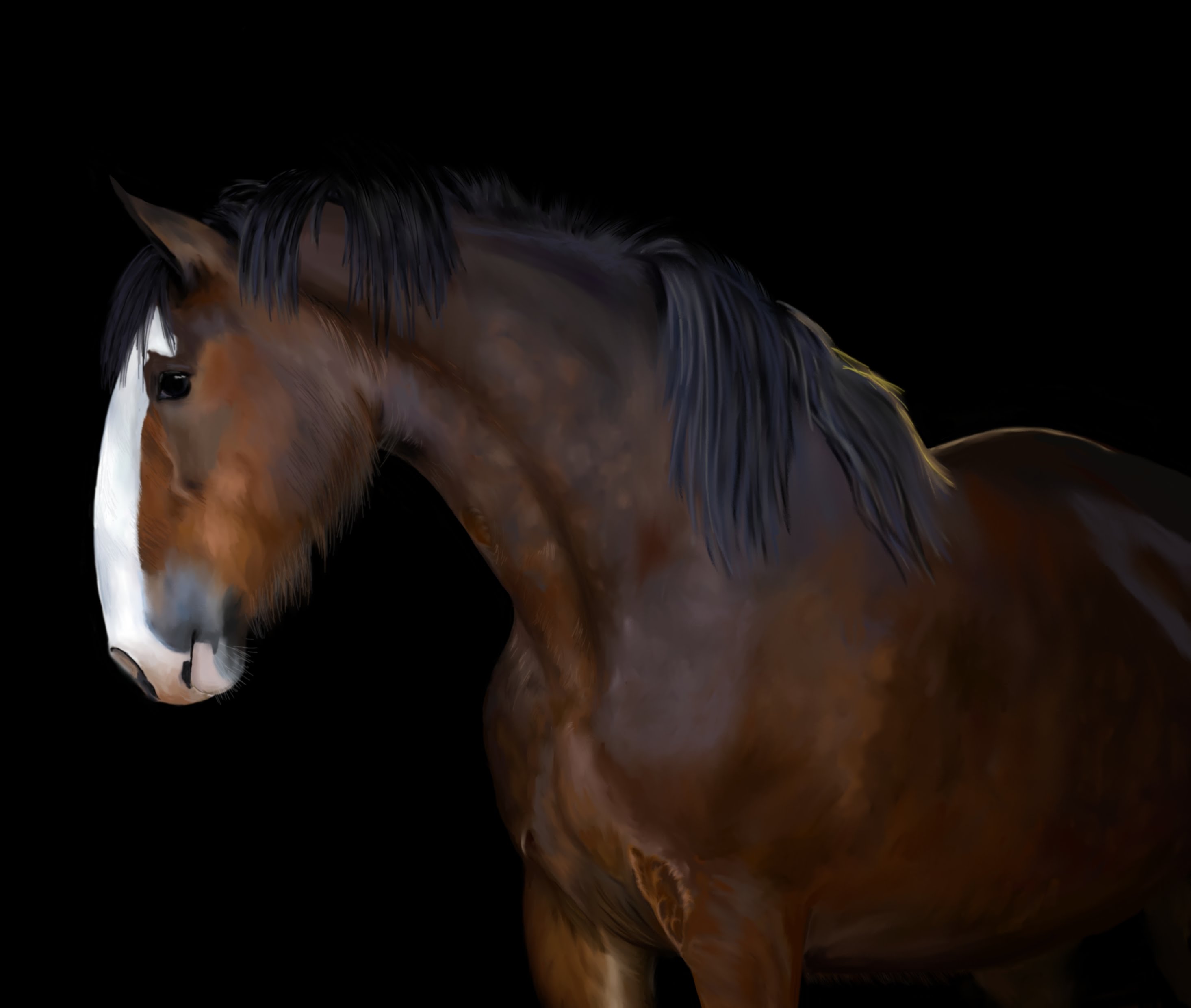2931x2481 How To Draw A Realistic Horse Portrait - Painting Clydesdale