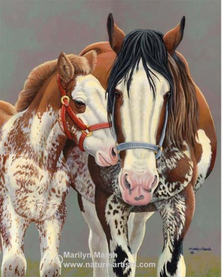 440x550 Nature Artists - Painting Clydesdale