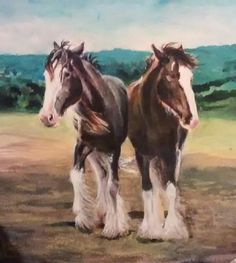 236x263 26 Best My Draft Horse Painting And Drawings Images - Painting Clydesdale