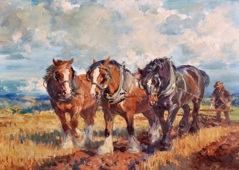 800x569 Paintings - Painting Clydesdale