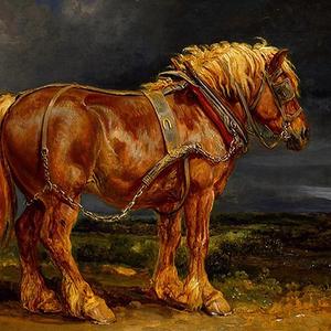 300x300 Clydesdale - Painting Clydesdale