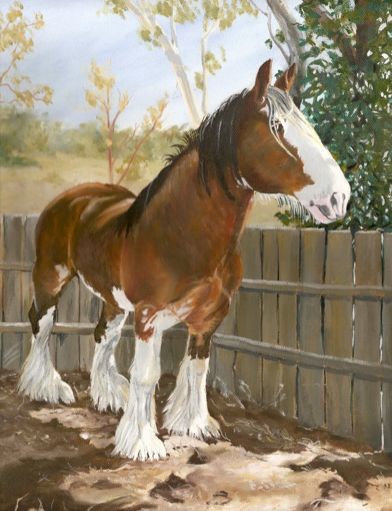 783x1021 Clydesdale Ben By Nevrawd - Painting Clydesdale