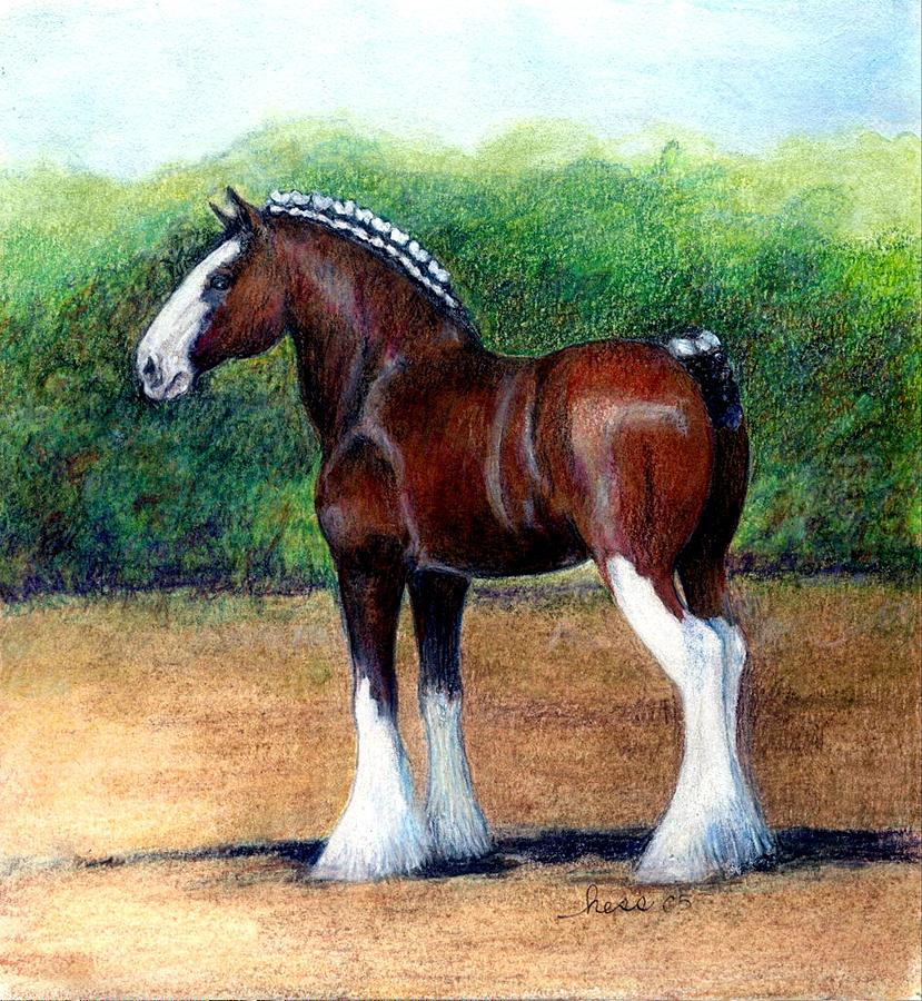 829x900 Clydesdale Horse Portrait Drawing By Olde Time Mercantile - Painting Clydesdale
