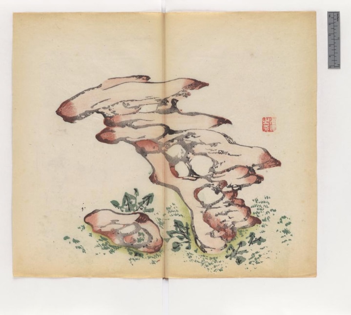 719x646 Oldest Book Produced In Multiple Colors Now Online For Free - Painting Color Book